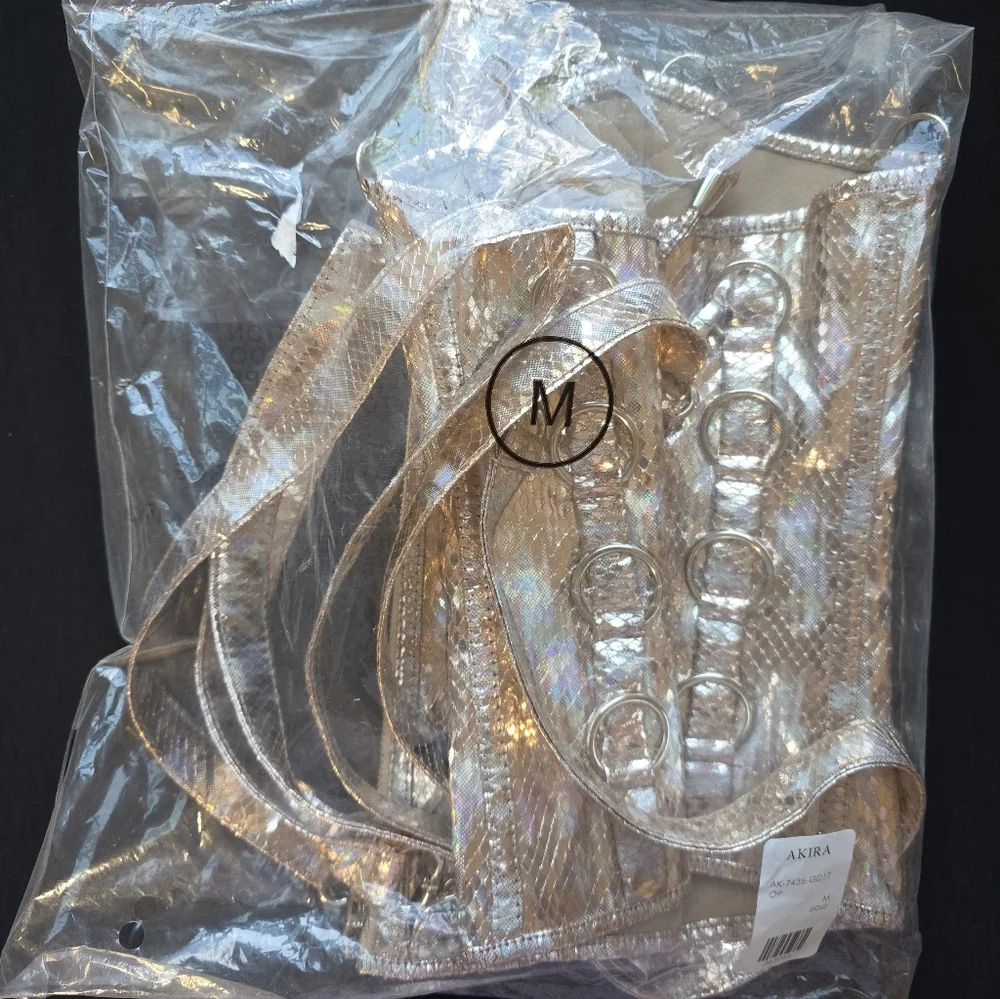 Envision Me In Gold Holographic Corset - Picture 10 of 11